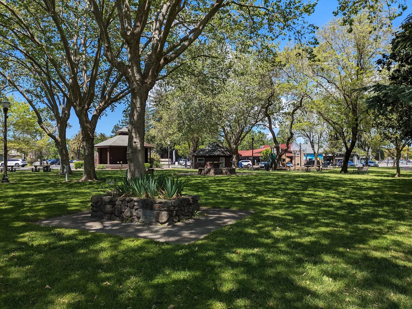 Trees and lawn in La Plaza Park, Cotati