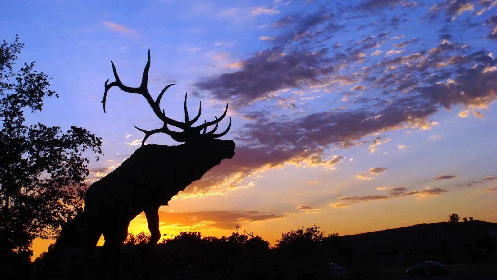Elk statue on Laguna Boulevard in Elk Grove at sunset