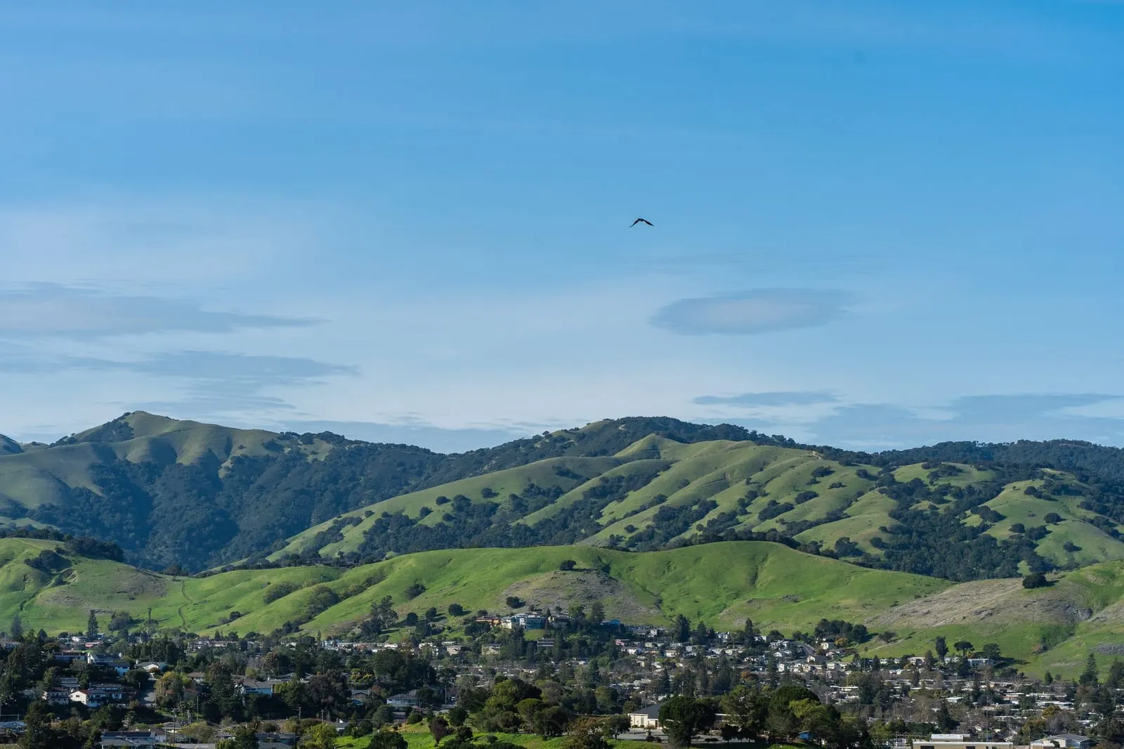 Green hills above Fremont neighborhoods