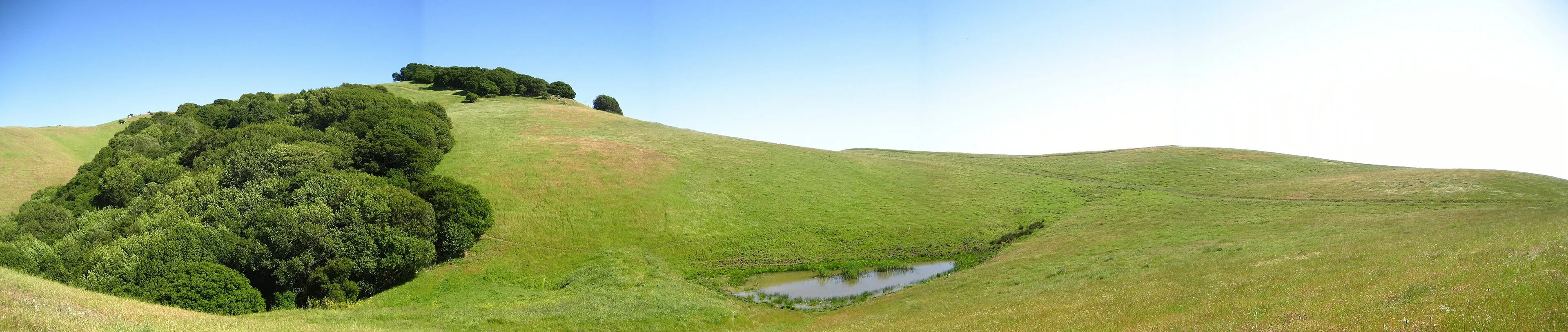 Green rolling hills and a pond at Garin Regional Park in the Hayward hills
