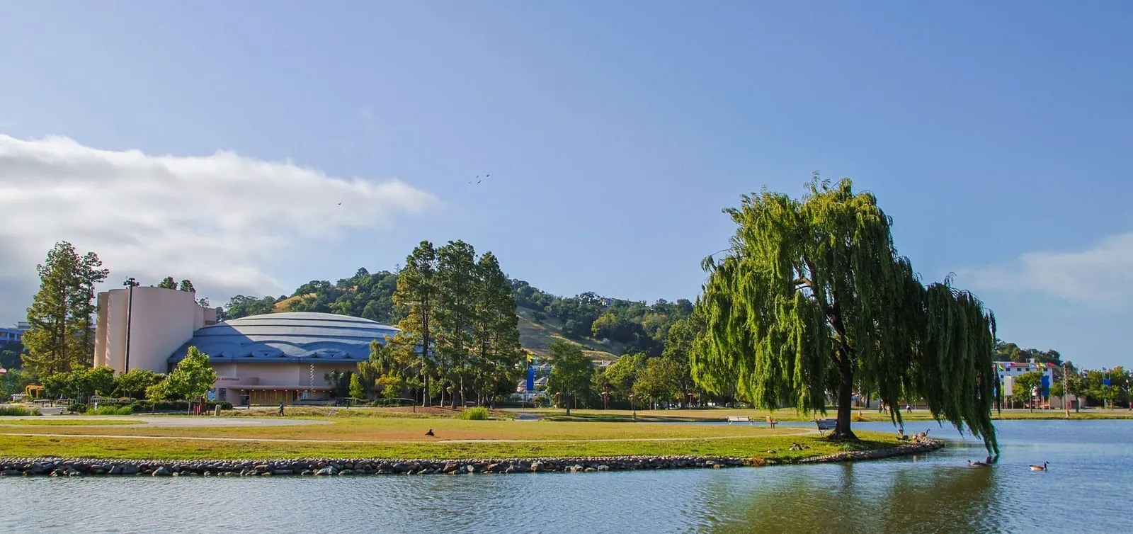 Marin County Civic Center across its lagoon in San Rafael