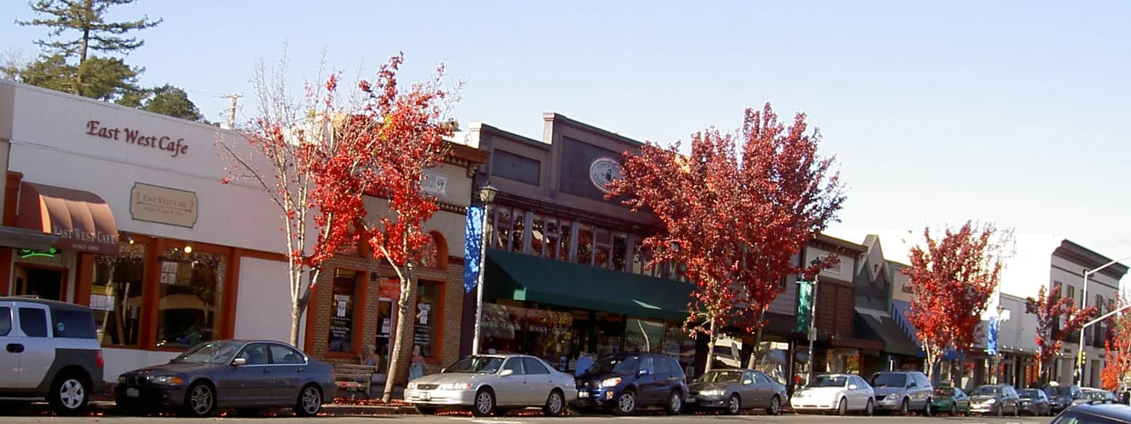 Main Street storefronts with autumn trees in Sebastopol