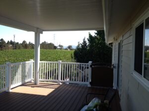 Image2